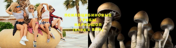 кокаин Богданович